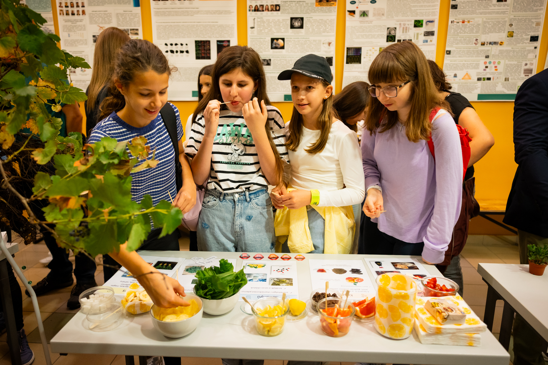 Iskolások a növényi érzékelést bemutató asztaloknál az SZTE TTIK BIológiai Intézet Növénybiológiai Tanszéke által rendezett kísérleti bemutatókon a Kutatók Éjszakáján Iskolások a növényi érzékelést bemutató asztaloknál az SZTE TTIK BIológiai Intézet Növénybiológiai Tanszéke által rendezett kísérleti bemutatókon a Kutatók Éjszakáján